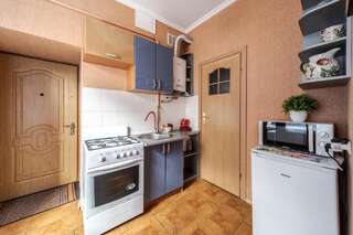 Апартаменты Style apartments in old Lviv Львов Стандартные апартаменты-7